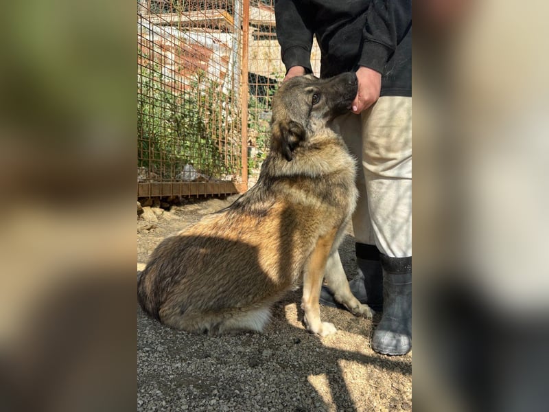 COCO❤️verspielt, sanft und voller Vertrauen: ein Herz für Groß und Klein!