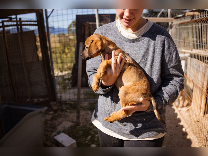 Tilly ❤️ aufgeweckte, lebenslustige Maus