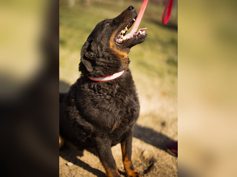 Aktiver ♥Ares♥ sucht aktive Menschen