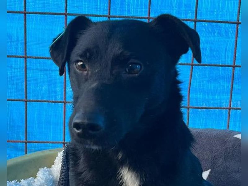 PINA❤️liebe, soziale Schönheit mit Charakter