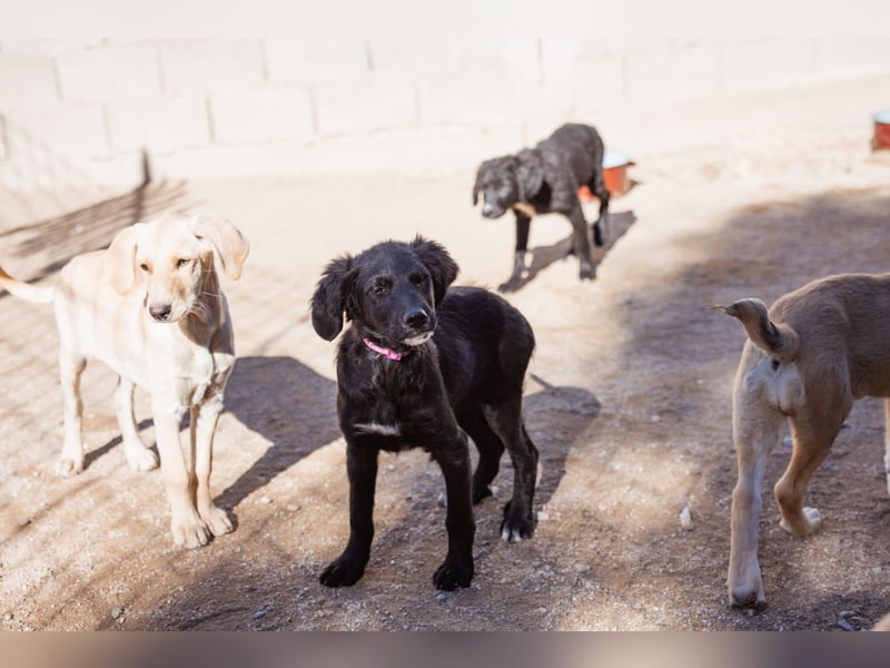 Mila ❤️ so süßes + lebensfrohes Mädchen!