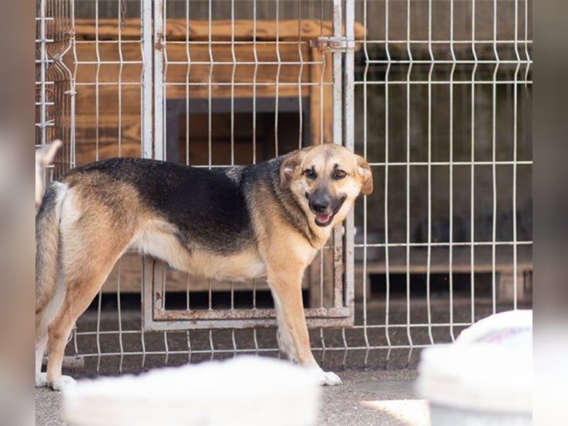 Bezaubernde Sersi wartet auf dich!