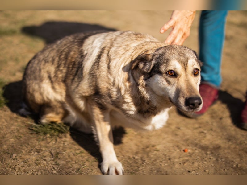 Schöne ♥Sibilla♥ sanft und freundlich