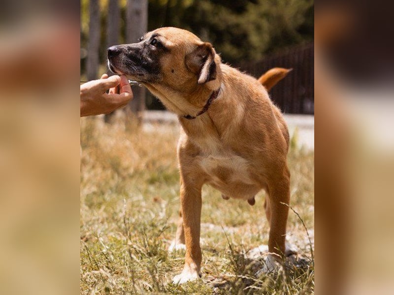 Liebste ♥Senka♥ mit einem großen Herzen
