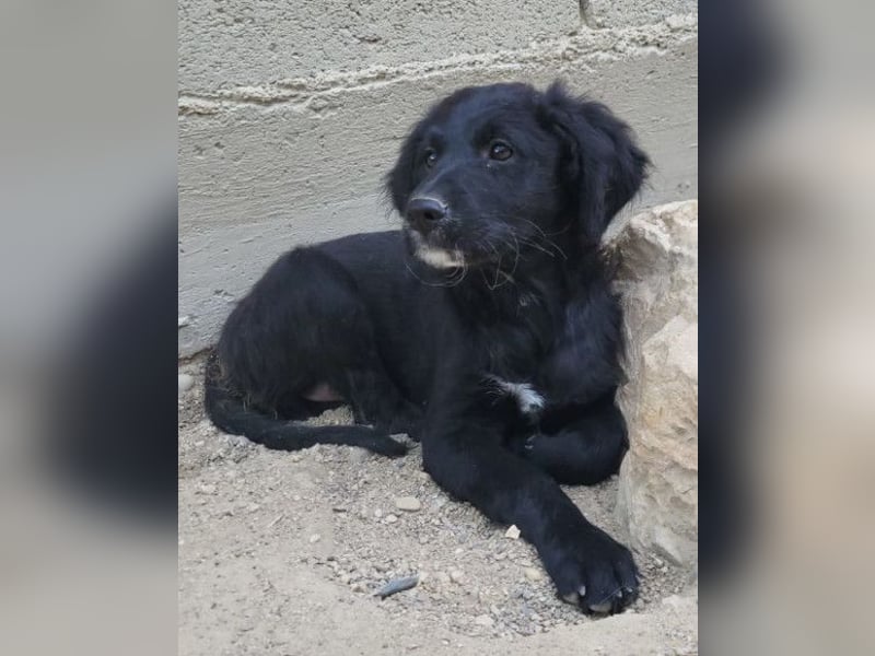 Mila ❤️ so süßes + lebensfrohes Mädchen!