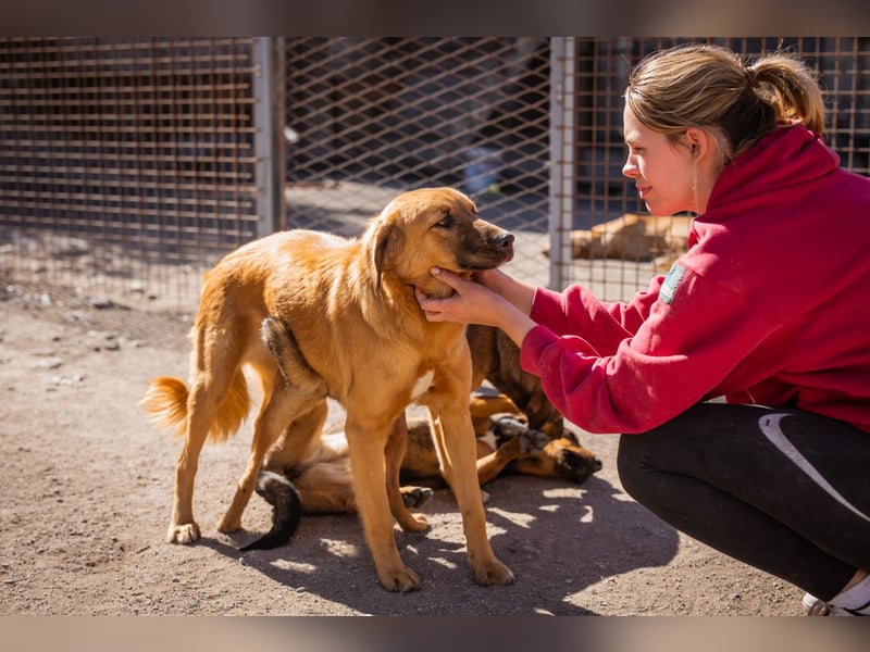Schnuckel ♥Bettie♥ will spielen & kuscheln