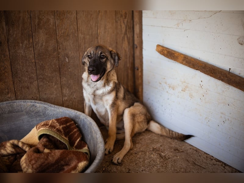 COCO❤️verspielt, sanft und voller Vertrauen: ein Herz für Groß und Klein!