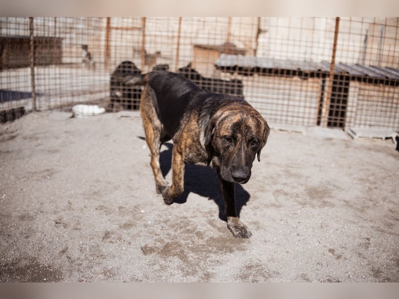 Ludwig ❤️ unser lieber Herzensbrecher Ludwig ❤️ unser lieber Herzensbrecher