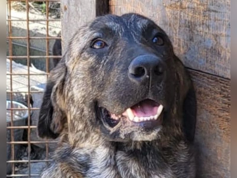 Ludwig ❤️ unser lieber Herzensbrecher Ludwig ❤️ unser lieber Herzensbrecher