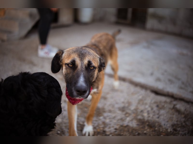 Liebste ♥ Lisa ♥ die pure Lebensfreude