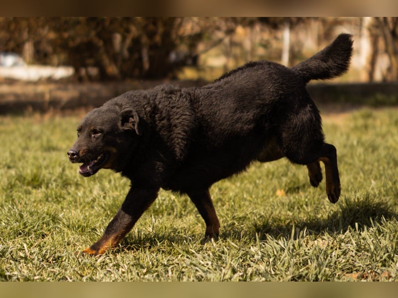 Aktiver Ares sucht seine aktiven Menschen