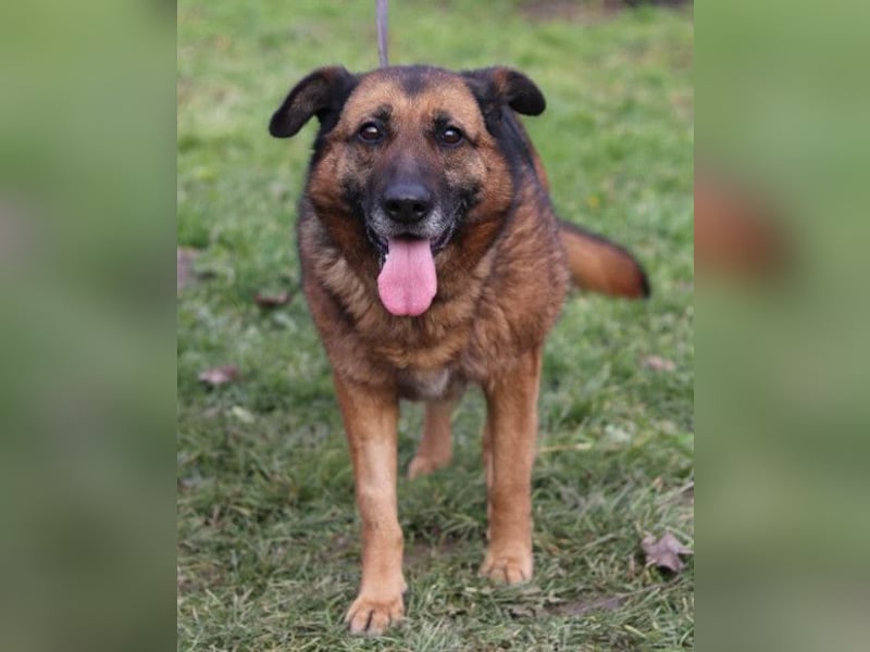 Einzelprinzessin Edna ❤️ sucht ihr Körbchen