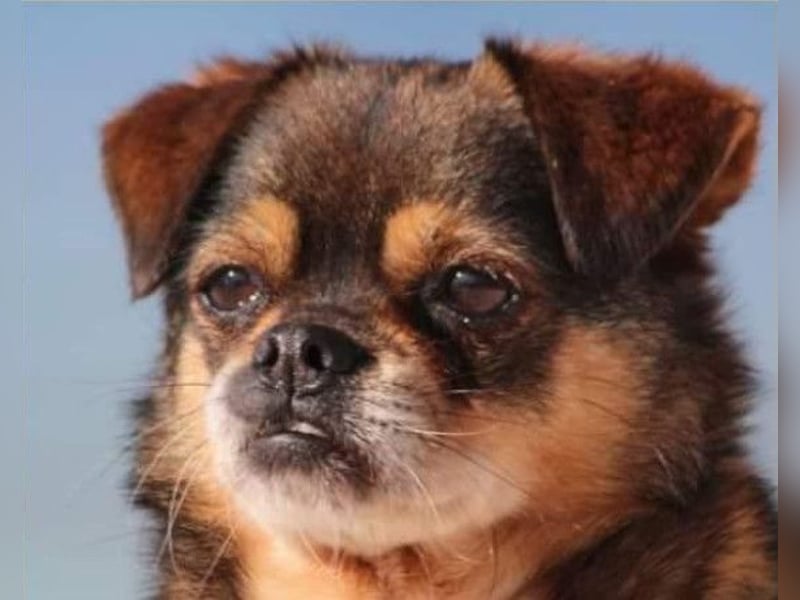 Kika & Max ❤️ gemeinsames Zuhause gesucht