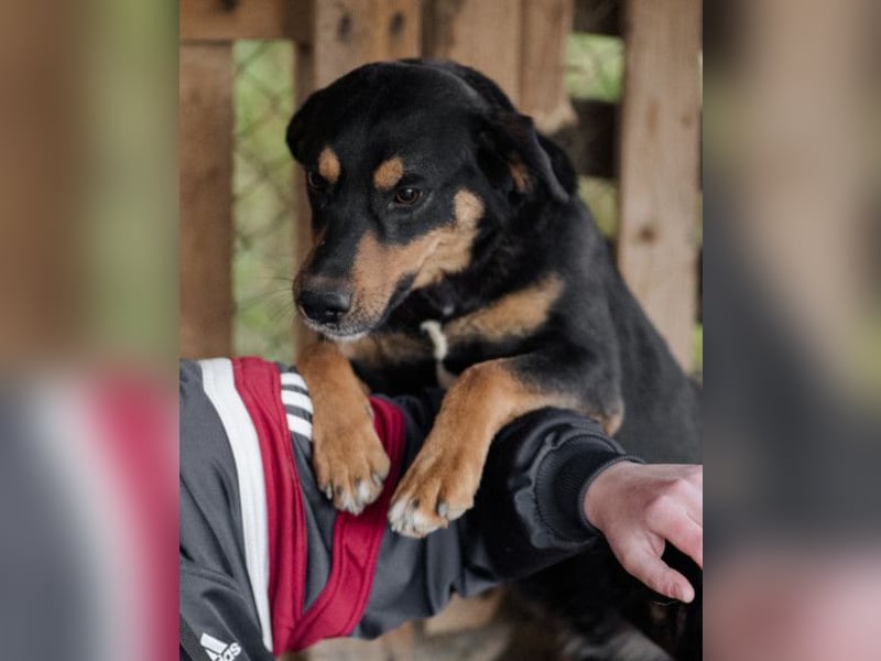 Mico ❤️ aufgeschlossen & verkuschelt!