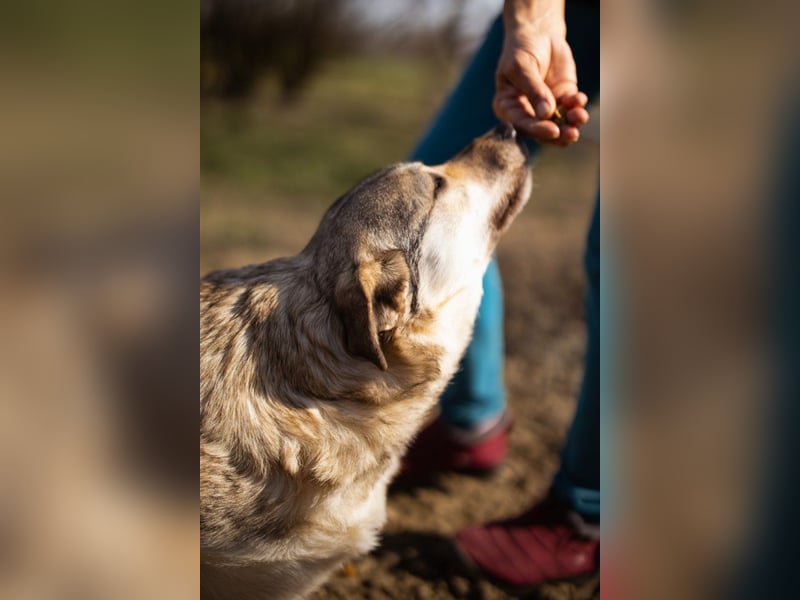 Schöne ♥Sibilla♥ sanft und freundlich