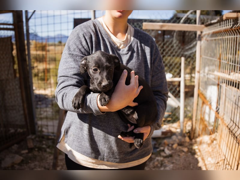 süße TABI❤️kuschelsüchtiges Sonnenscheinchen & pure Lebensfreude!
