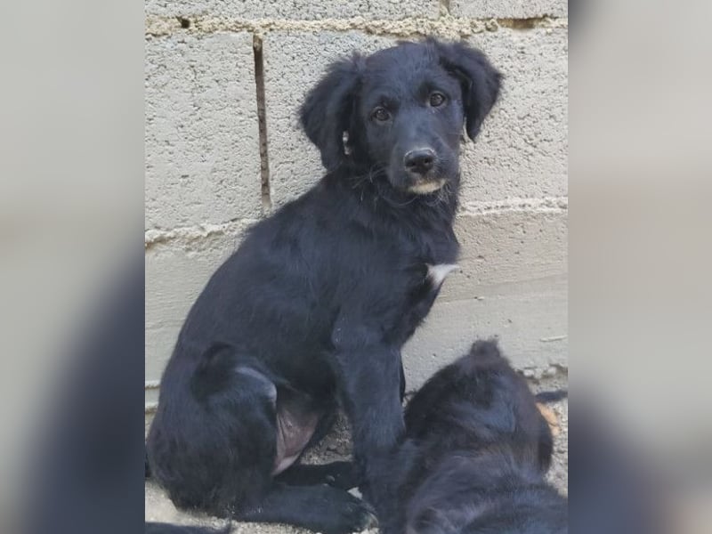 Mila ❤️ so süßes + lebensfrohes Mädchen!