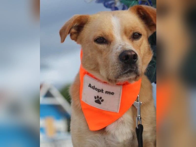 Kika & Max ❤️ gemeinsames Zuhause gesucht