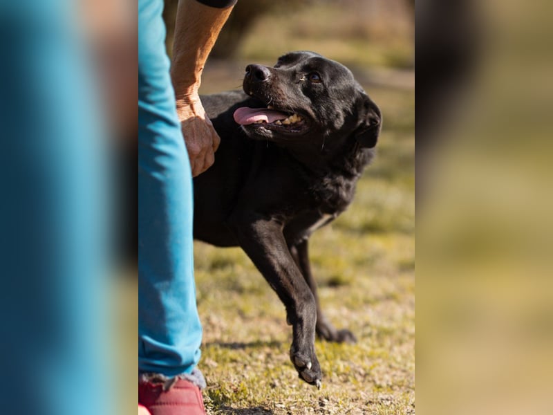 Coolio - wunderbar fröhlicher aktiver Bub