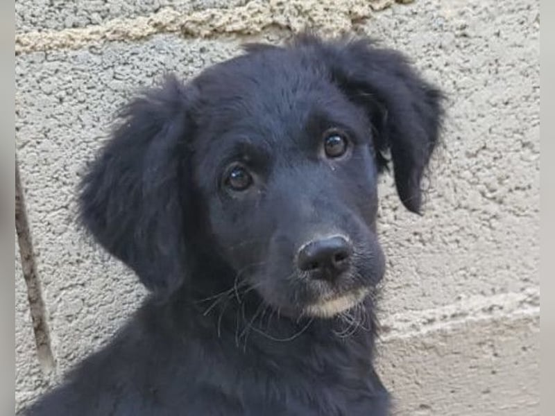 Mila ❤️ so süßes + lebensfrohes Mädchen!