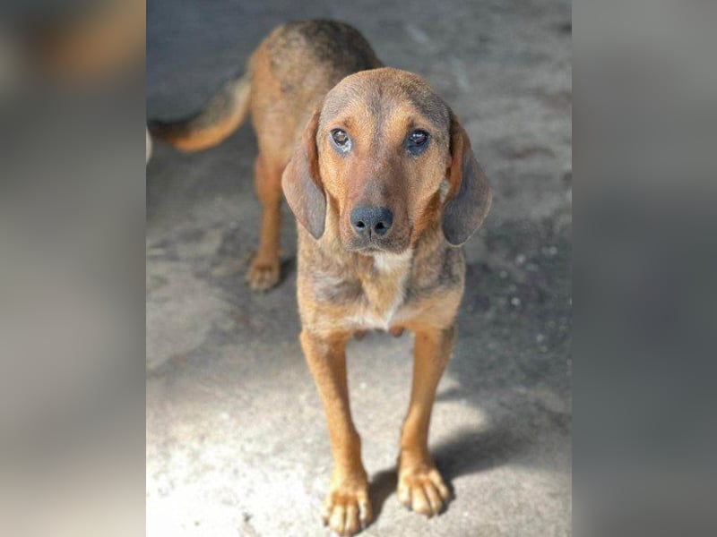 Mama Reina: pures Fellherz aus Liebe