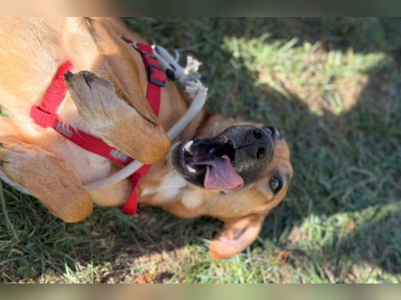 LISA❤️sanfte Seele sucht ihr Familienglück