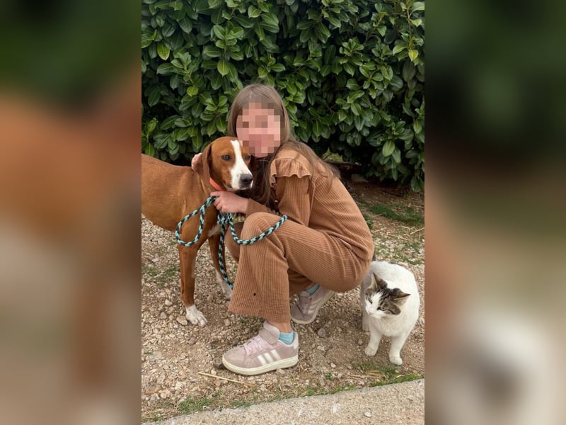 Linda ❤️ fröhliche, sanfte junge Hündin!