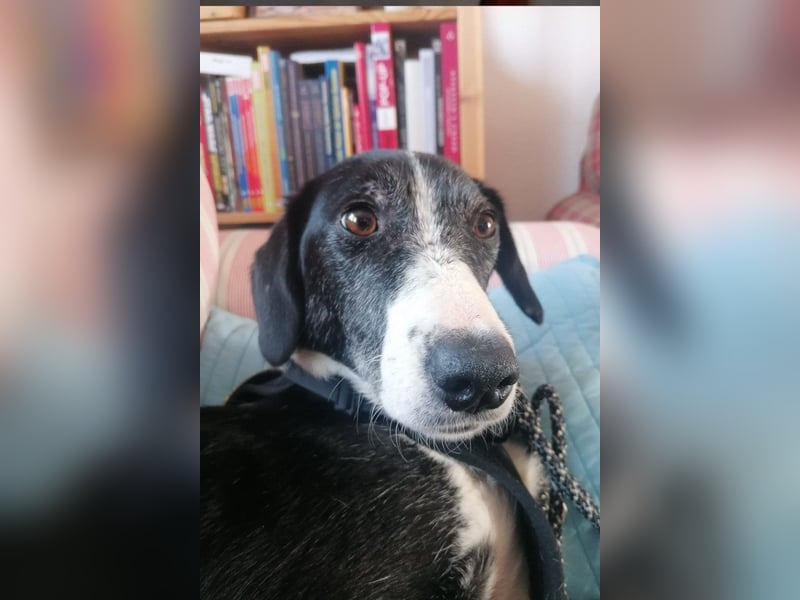 Genießerschnute ♥Mona♥ wartet bereits in 01640 Coswig auf dich/euch