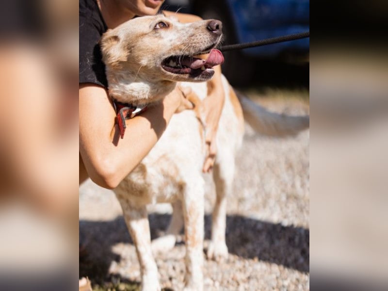 Lucy ❤️ liebe + gutmütige Zuckerschnute