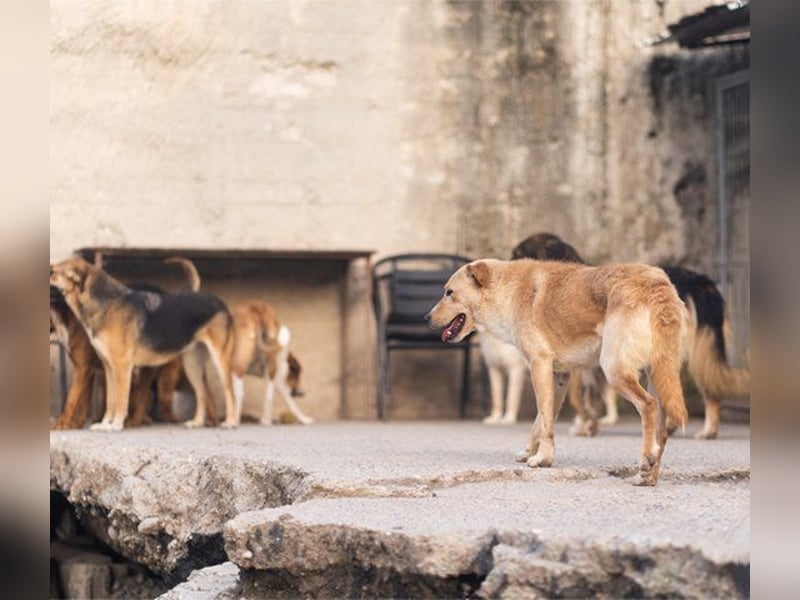 Bob wartet sehnsüchtig auf deine Anfrage