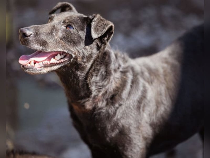 Hana ❤️ wundervolle, liebe Zuckerschnute