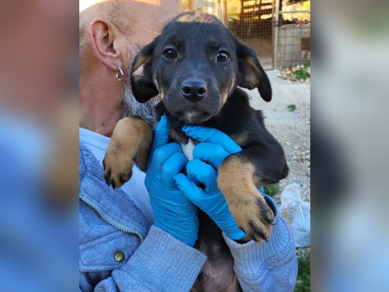 Jonas ❤️ fröhlicher + lebensfroher Schatz!