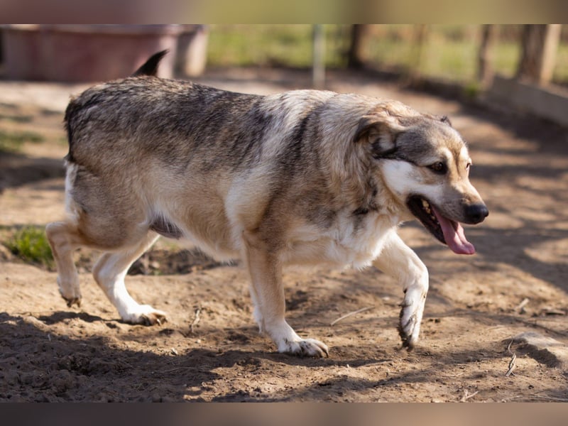 Schöne ♥Sibilla♥ sanft und freundlich