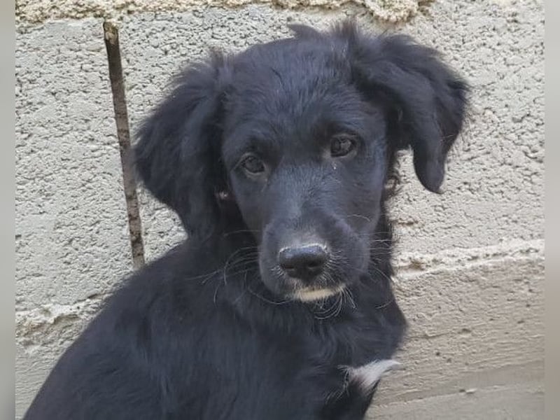 Mila ❤️ so süßes + lebensfrohes Mädchen!