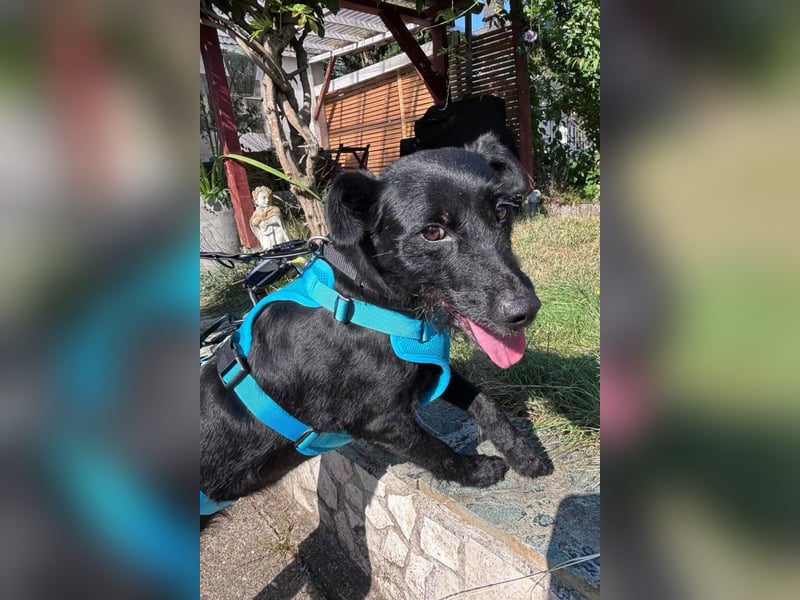 Ebony ❤️ wartet in 51469 Bergisch Gladbach auf dich