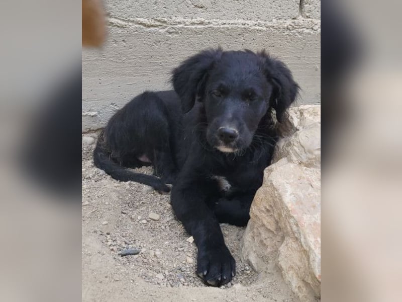 Mila ❤️ so süßes + lebensfrohes Mädchen!