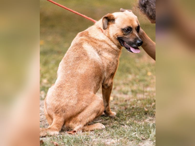 Teddy  wartet schon so lange!