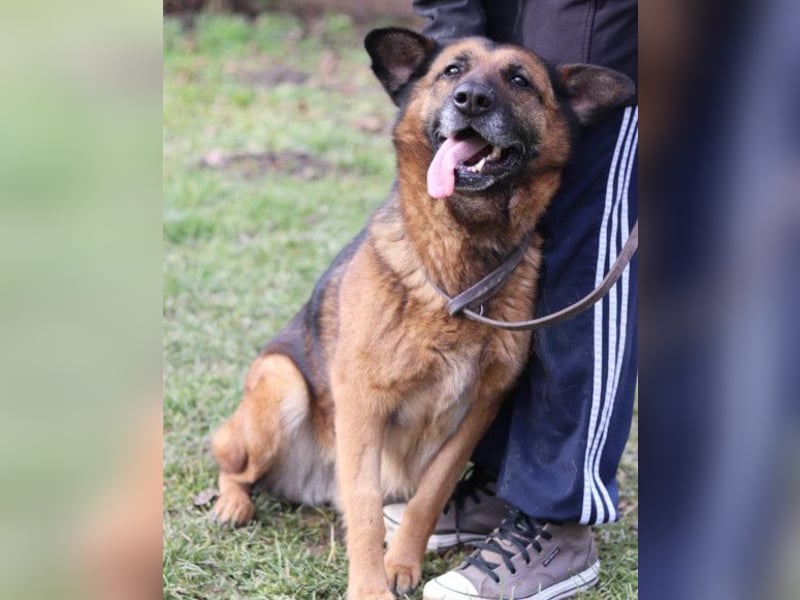 Einzelprinzessin Edna ❤️ sucht ihr Körbchen