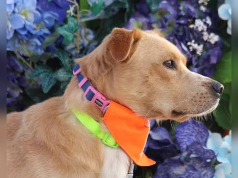 Kika & Max ❤️ gemeinsames Zuhause gesucht