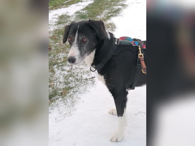 Genießerschnute ♥Mona♥ wartet bereits in 01640 Coswig auf dich/euch