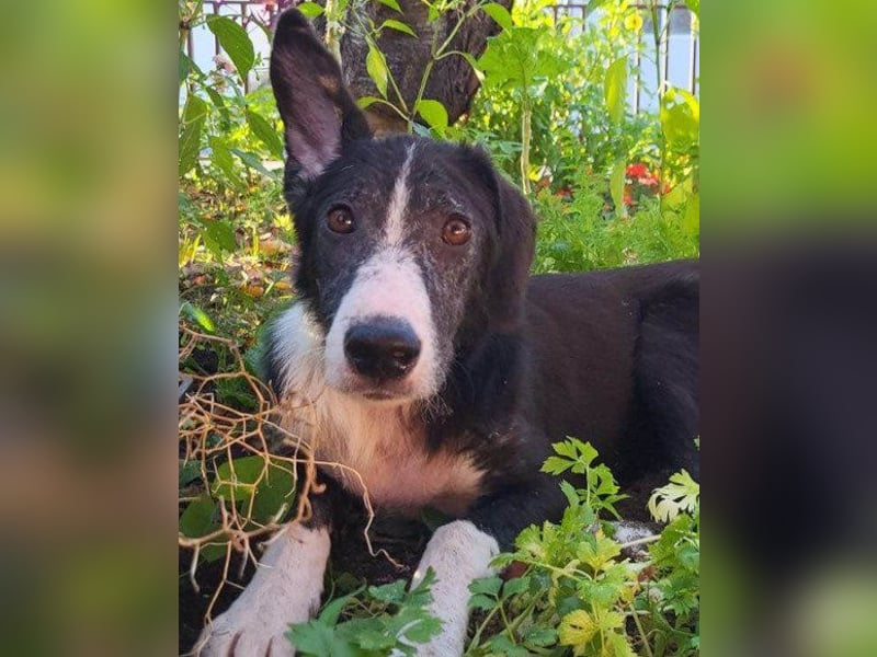 Genießerschnute ♥Mona♥ wartet bereits in 01640 Coswig auf dich/euch