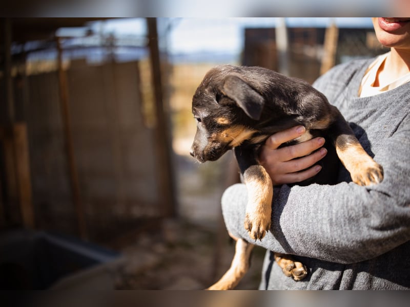 Jonas ❤️ fröhlicher + lebensfroher Schatz!