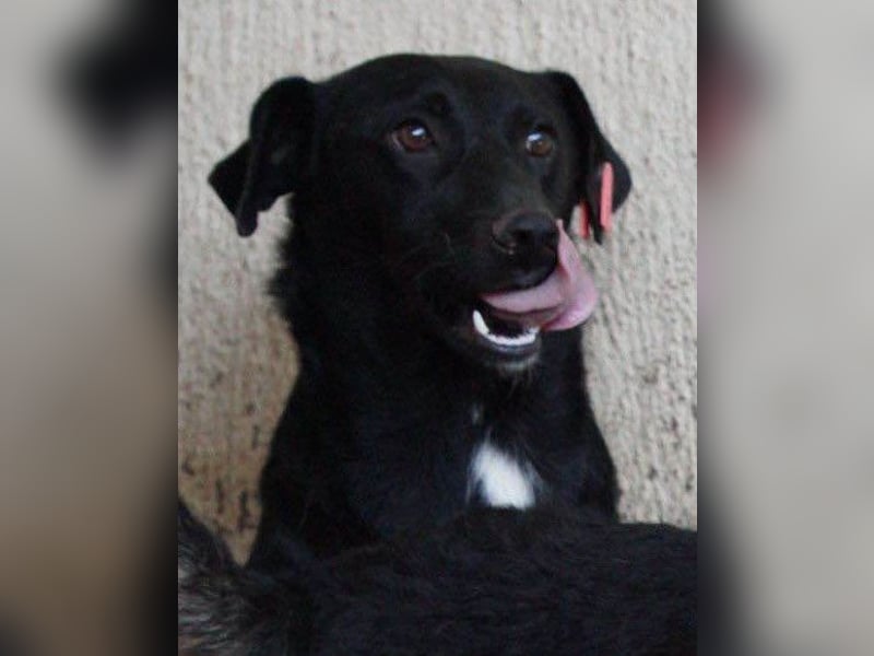 PINA❤️liebe, soziale Schönheit mit Charakter