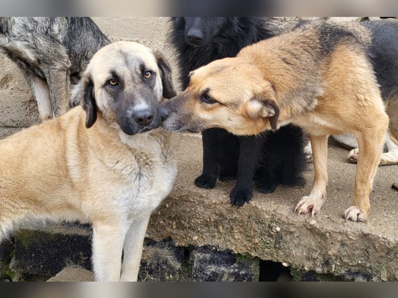 Bezaubernde Sersi wartet auf Dich!