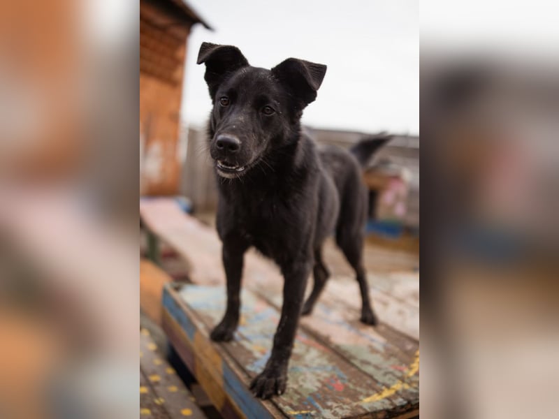 Loris ❤️ verspielter, aktiver + so lieber Jungrüde