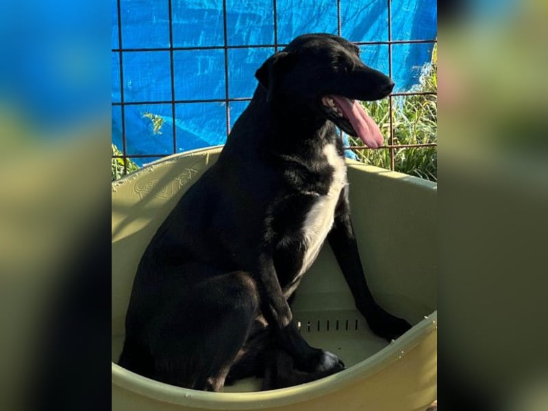 PINA❤️liebe, soziale Schönheit mit Charakter