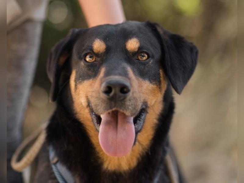 Mico ❤️ aufgeschlossen & verkuschelt!