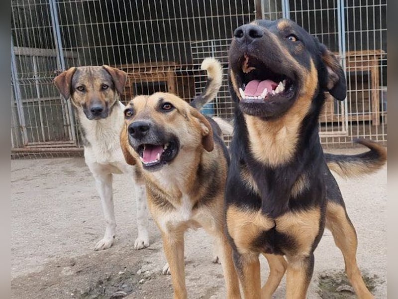 Bezaubernde Sersi wartet auf dich!