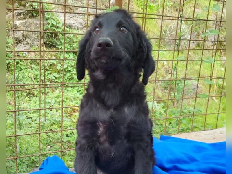Yuki ❤️ froher, aufgeschlossener junger Bub!