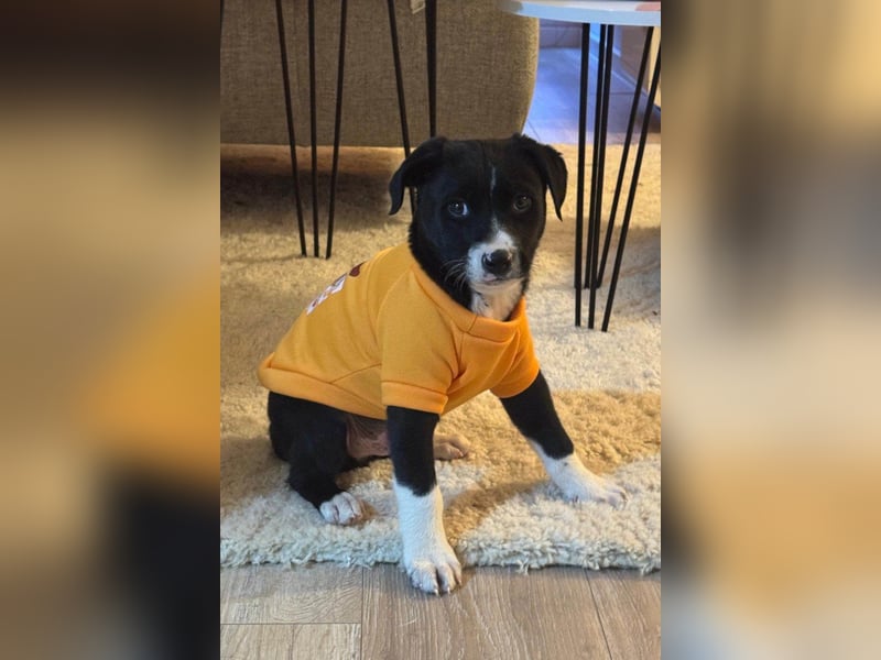 LENNI❤️kleiner Entdecker sucht sein großes Glück!